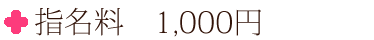 指名料 1000円
